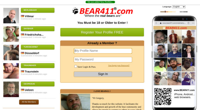 Exploring the Benefits of Bear411: A Comprehensive Review